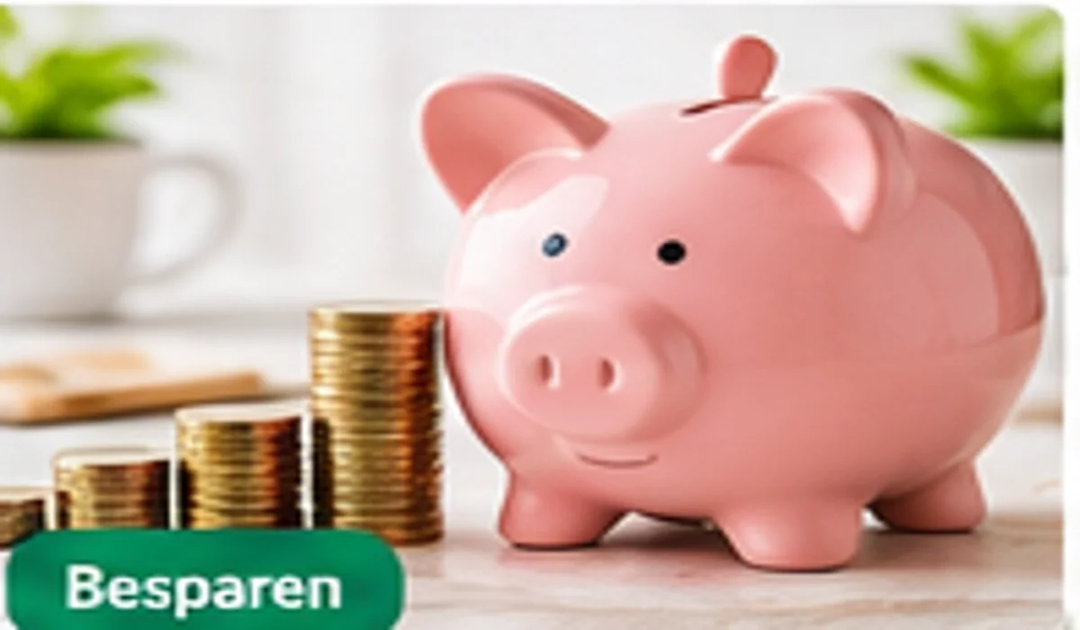 Geld besparen per maand: 18 praktische manieren om vaste en dagelijkse uitgaven te verlagen